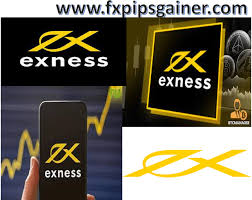 Understanding the Regulated Exness Broker