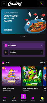 Experience the Thrill of Gamer's Paradise at Casiny1