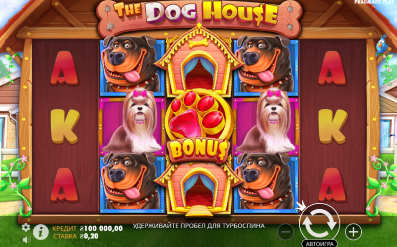 도그하우스 무료체험 - 처음 시작하는 사용자를 위한 완전 가이드 도그하우스 무료체험 - 처음 시작하는 사용자를 위한 완전 가이드